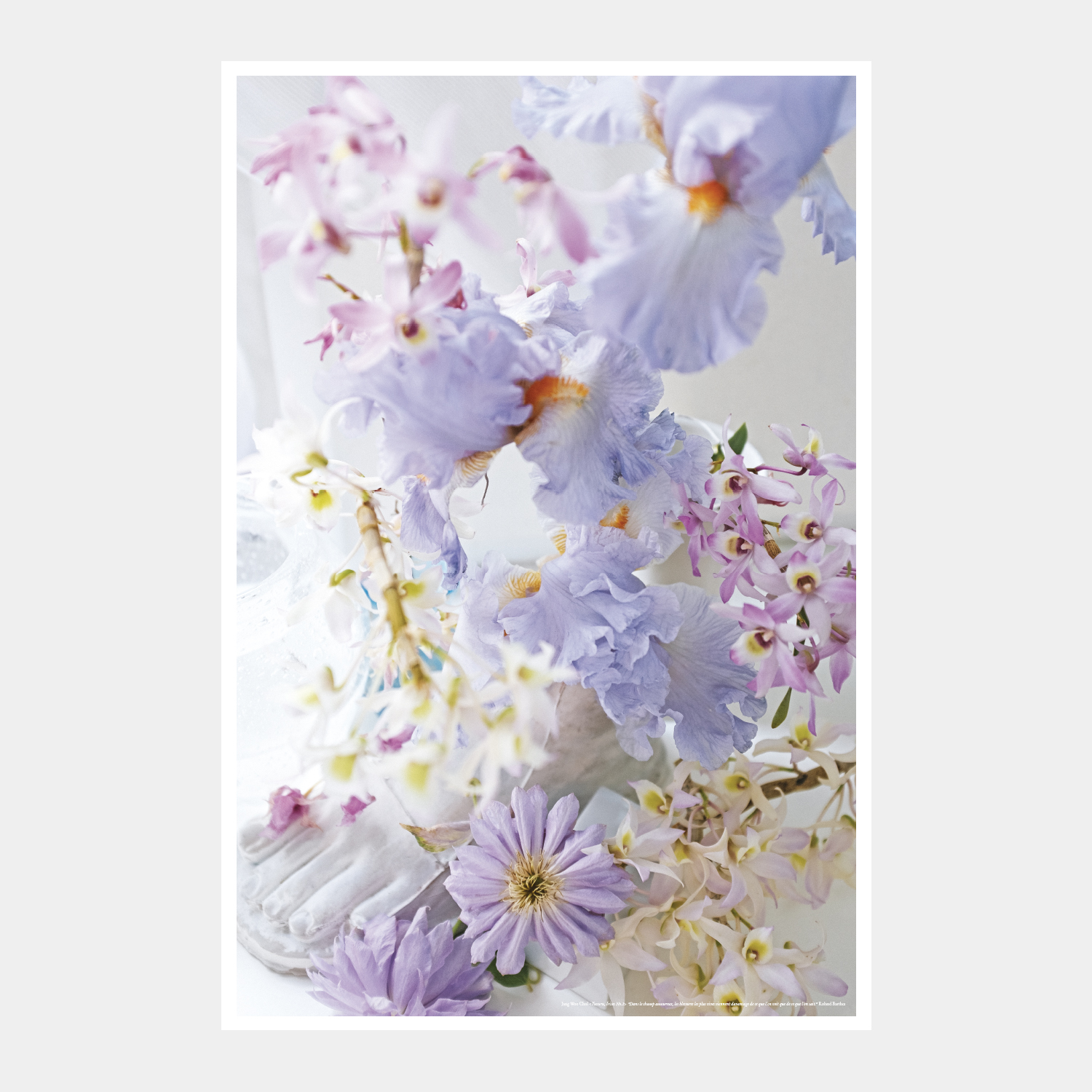 Poster - Yuzuru, Irises No.1